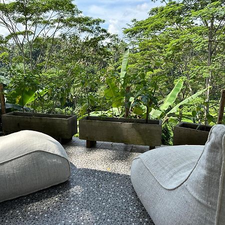 Tirta Asri Ubud Villa Exteriér fotografie