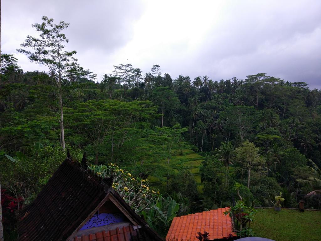 Tirta Asri Ubud Villa Exteriér fotografie