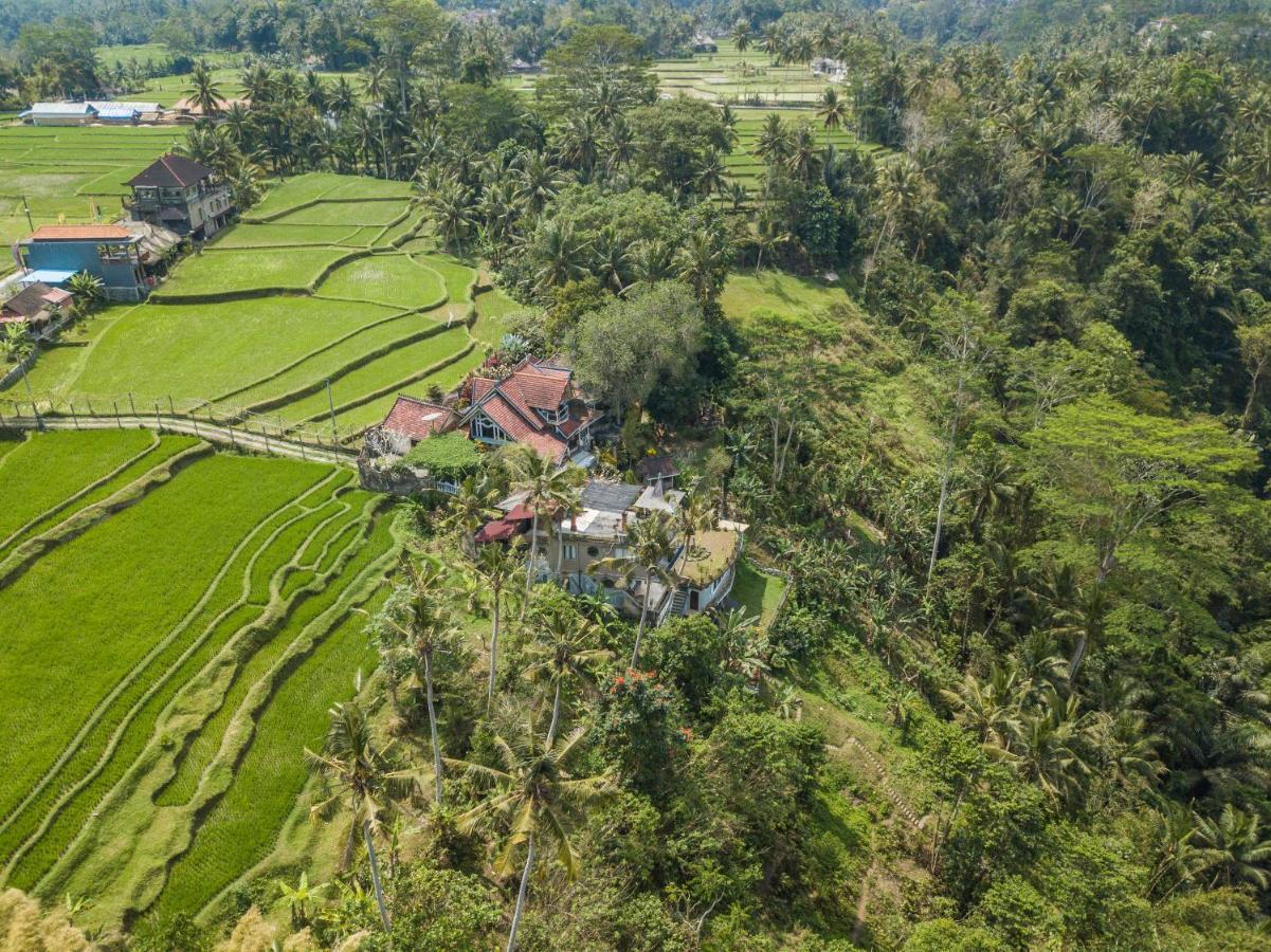 Tirta Asri Ubud Villa Exteriér fotografie